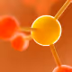 L-Carnitine